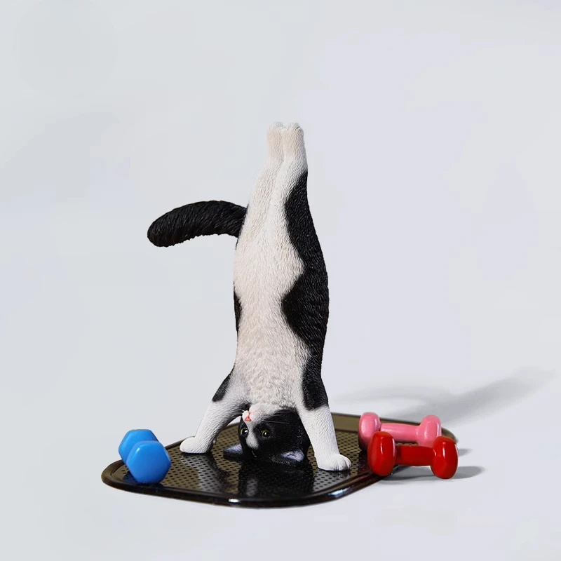Yoga Fitness Model - 1/6 Yoga cat model simulation fitness