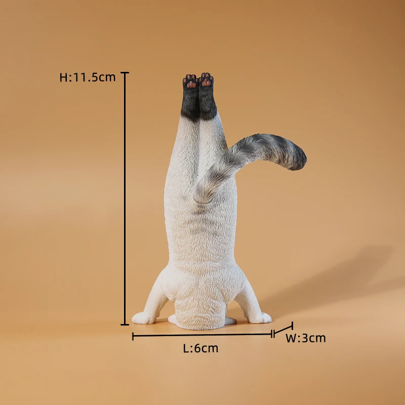 1/6 Yoga cat model simulation  - огляд і ціна Yoga Fitness Model