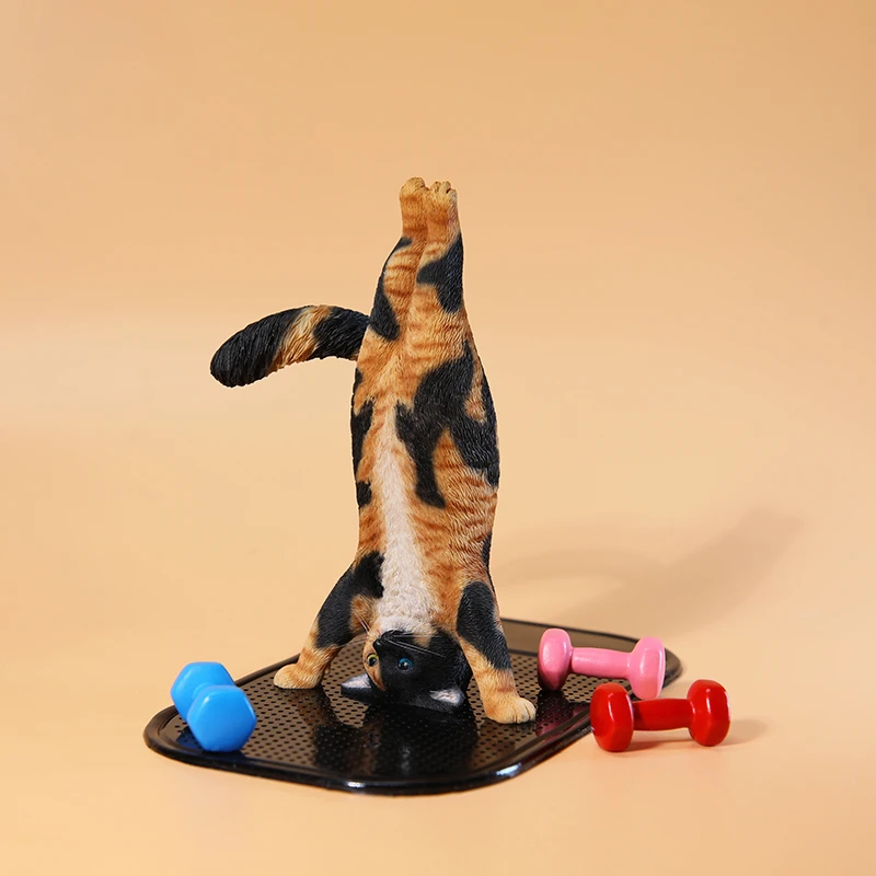 1/6 Yoga cat model simulation  - огляд і ціна Yoga Fitness Model