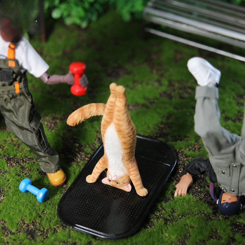 1/6 Yoga cat model simulation  - огляд і ціна Yoga Fitness Model